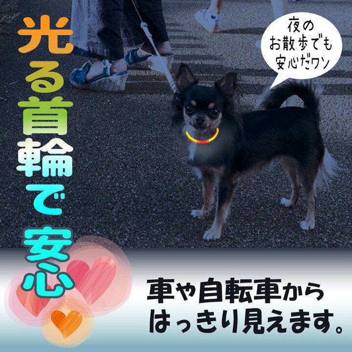 楽天市場 首輪 光る 犬 光る首輪 カット自由 Led Usb充電式 Led光る首輪 Ledライト首輪 おしゃれ 猫 Ledライト Usb 小型犬 中型 犬 35cm 50cm 散歩 防水 ワンちゃんの安全対策 サイズ調整可 カー用品と革財布の Loxton Market 楽天市場 首輪 光る 犬 光る首輪 カット自由 Led Usb充電式 Led光る首輪 Ledライト首輪 おしゃれ 猫 Ledライト Usb 小型犬 中型 犬 35cm 50cm 散歩 防水 ワンちゃんの安全対策 サイズ調整可 カー用品と革財布の Loxton Market