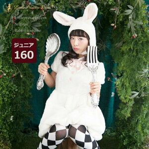 X̂̂ӂӂ탏s[XZbg WjAEfB[XTCY yŋzz ynEB ߑ q RXv RX`[ 160TCY LbY  ߑ p[eB[ Aj} q