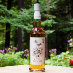 �������� �V���O�������g �f�b�T���V���[�Y �t���[��2025 55/700[167917][���t]