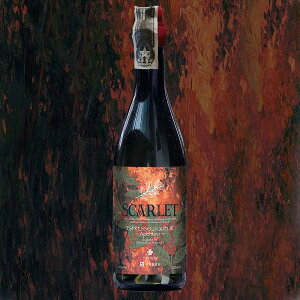 �X�J�[���b�g �G�X�v���b�\���L���[�� �A�y���e�B�[�{ 20/700[169811][���Ȃ�]