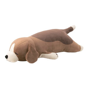  ˂ނ˂ރAj}Y ܂ MTCYy ˂ނ˂ ʂ v~A  ܂ 􂦂 傫  L lR  Č ` pO AUV p_ JE\ NbV