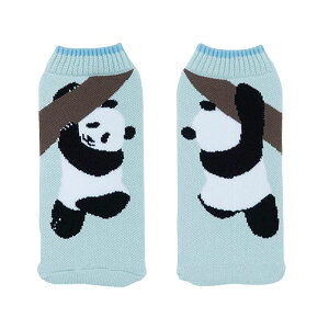 [֑ Aj} {gP[X {gR botoco { y ybg{gJo[ ybg{gP[X Aj} L   k 500ml 600ml 킢 C jbg ObY P[X l 