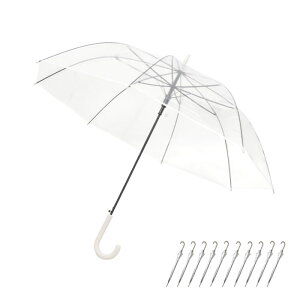 rj[P 10{Zbg  y P JP P Au  65cm 傫 傫 v OXt@Co[ Zbg  y ܂Ƃߔ   10{ Wv rjP rj[  N