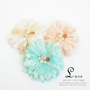 [Xp[RT[Wyt[ ANZT[ ANZ wAANZ  l p[eB[ 傫  q  2 Ǝ tH[} znEB