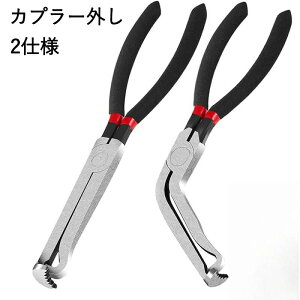 Jv[O H ^Cv Ȑ^Cv Zbg RlN^[ vC[ Rz[X O y` z  eiX C DIY   oCN I[goC Yf| ^ y