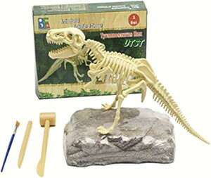 yyVLO[1ʓ܁z\E΂̔@邨LeBmTEX}Xm̋qpiiMtgv[g