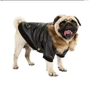  H~~ PUU[WPbg tFCNt@[ C_[X h 