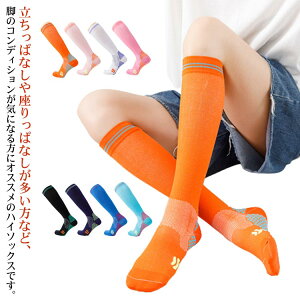 2o  nC\bNX  nC\bNX \bNX \bNX X|[c\bNX C  XgbLO RvbV Y fB[X X|[c ^ 