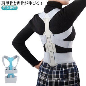 p w  T|[^[ nw؃xg Y fB[X 50 70 pT|[g w؃T|[g 40 b b pxg VjA w w 60 jp 80 NObY Xgb` 