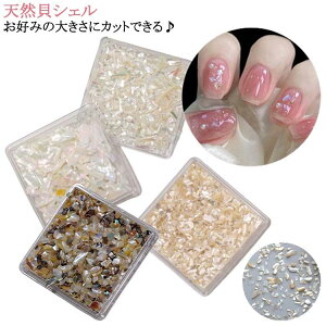 lCpi VRLVF 6FZbg lCp[c lCA[g lCp[c lC A[g lCp[c VFXg[ Xg[ VFlC VFt[N WFlC WF