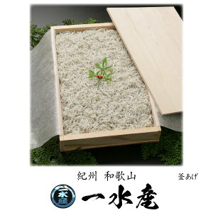 炷Mtg 炷 p ؔ 500g a̎R 炷X ꐅY