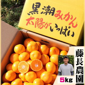 Ε Ε ݂ a̎R Lc݂ 5kg Ε Lcs{n _ ݂ 5kg S`LTCY 12{甭Jn  ~J 킩