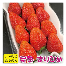 農家直送 いちご 完熟 まりひめ デラックス 大粒 2パック 合計660g以上 いちご園直送 母の日 ギフト お誕生日 御祝 内祝 産地直送 イチゴ 苺 プレゼント