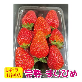 農家直送 いちご 完熟 イチゴ まりひめ 和歌山産 レギュラー 中粒 4パック 合計1120g以上 いちご園直送 母の日 プレゼント お誕生日 御祝 内祝
