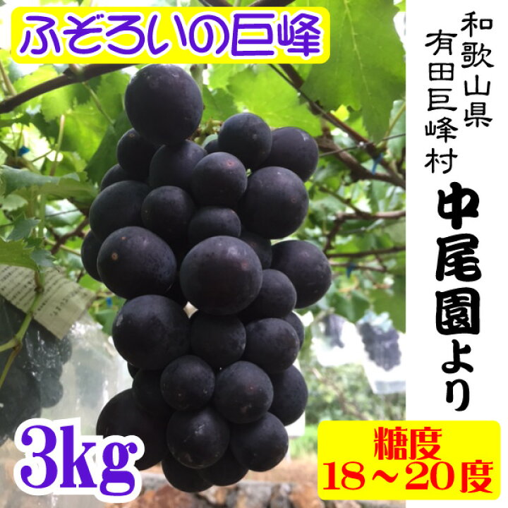 714円 美しい 巨峰村 朝穫り 即日発送 紀州和歌山金屋産 巨峰ぶどう 1kg 714円 美しい 巨峰村 朝穫り 即日発送 紀州和歌山金屋産 巨峰ぶどう 1kg
