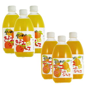 ݂W[X Mtg Y Xg[g݂W[X  ݁AfR^W[X ʏ` Ђ ݂W[X ʏ`100% 500ml e3{ v6{ 1 䒆  Mtg l