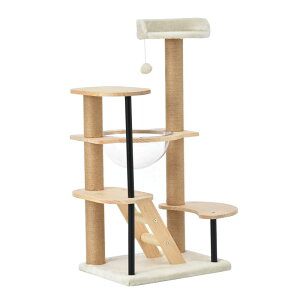 Lbg^[ u ؐ FD   {{t  ܂Ƃ{[ LbgnEX  ybgpi V