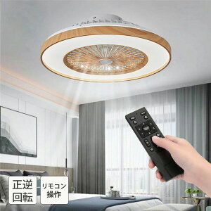t@t ^ y 60cm  14 12 V[Ot@ t]@\ DC[^[ V[OCg T[L[^[