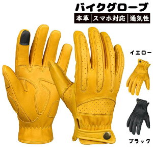 yzoCN O[u X}zΉ  Y tH  U[O[u Rrv({v ʋC I[goC ] CG[/ub