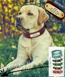 迷子札 超軽量 犬 いぬ 猫 ねこ ペット 首輪 犬用迷子札 名前入れ 名入れ ネーム入り ネームタグ ドッグタグ 名札 かわいい おしゃれ 犬首輪 犬の首輪 革 皮 レザー 迷子防止 柴犬 軽い 軽量