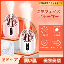 楽天市場】ナノイー ナイトスチーマーの通販