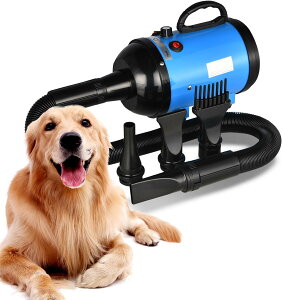 ybghC[ 4.3PSAxiK߉\ȌpwAhC[ ybghbOO[~OhC[u[ ጸ 4̃mYt u[ {Ki PSEKip̃v