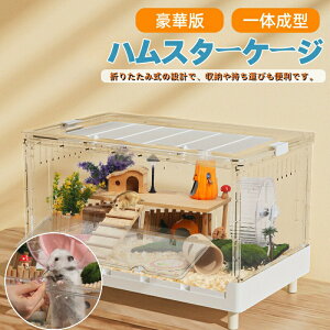 nX^[ P[W œK X^[CgP[W SʃNA  ^TCY P[W L ̐^ K ֗ ϋv