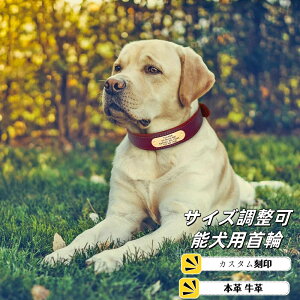 本革 牛革 ペット首輪 カスタム刻印ペット首輪 パーソナライズされた紛失防止 ID ネームタグ 犬の首輪 小型および大型犬用