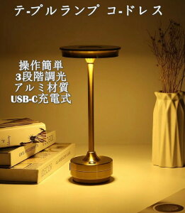 e[uv R[hX USB-C[d Type-C xbhTCh ȃGl 3iK邳 ԐڏƖ ԃCg iCgX^h ׋Cg  A~jE _ Xg Q AEghA C