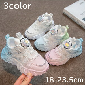 yLbYXj[J[ _CXj[J[z^C _炩 jOV[Y WjA ̎q j̎q qC AEghA tBbg ʋC ɗD JWA ₷ _X 