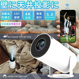 vWFN^[ ^ yWi-Fi6uԐڑ 4K 180°`␳z z[vWFN^[ ƒp V䓊e 邳vX Bluetooth5.0 720P HiFiXs[J[ É X}z/m[gp\R/DVD/PS4Ȃǂɑ