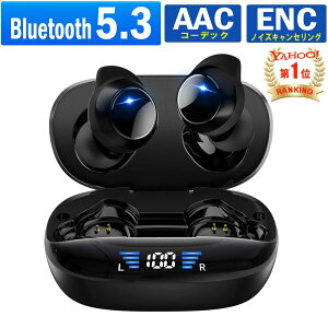 CXCz bluetooth5.3 EDR iPhone u[gD[X Cz y Ў  AACɑΉ HiFi  h { ios android ŐV^