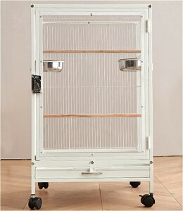 AAN   ^CR P[W ZLZCCR SUNCR IJCR  W46×D46×H77cm OʓAN @LX^[t@JhA