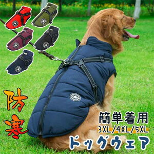  xXg ^ ^ ~ _E n[lX ̌^ n[lXt wJ hbOEFA ybgEFA wJ WPbg AE^[ ybg t[X N 킢  g