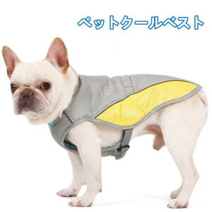 ybgN[xXg ⊴xXg pxXg EE^pN[xXg@COOLxXg@Up@MǑ΍ObY@悢Ђ芴@