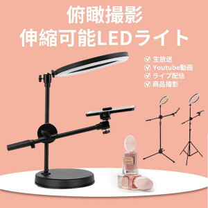 ՎBe X}zX^h 茳Be Be LED 26cm OCg X}zz_[ ^ォBe 茳f 3F 10iK Lk
