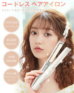 փAAC R[hX CAX 2WAY 3iKx 160`200 USB Type-C[d ~j wAAC Xg[g J[AC RpNg ^ s gїp ^ y _[WX 