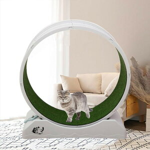 LbgzC[ L 񂵎 bNu ÉmCY Lp[i[ L jOzC[ LbgEH[N ^s XgX LbgjO}V ^Lp 