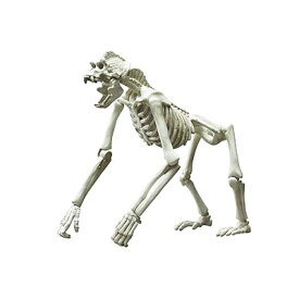 ポーズスケルトン哺乳類 ゴリラ