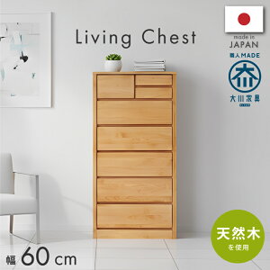 [Si5OFFN[|I11/3] `FXg ^X Y { A_[CޓVR 60cm6i`FXg ^X rO[ i m^X `FXg \y ^X ߗގ[ k i` 