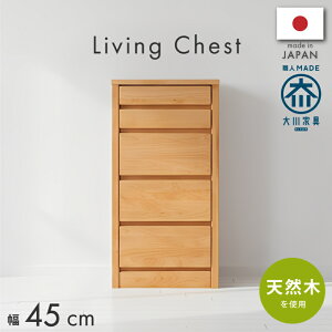 [Si5OFFN[|I11/3] Y{ A_[CޓVR 45cm5i`FXg 45Z` m^X rO[ i m^X `FXg  \y ^X ߗގ[ k i` 