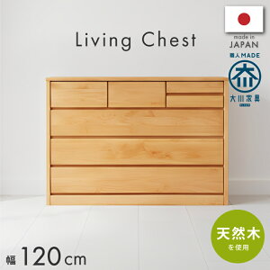 [5%lN[|Ӎ] Y{ A_[CޓVR 120cm4i`FXg m^X rO[ i m^X `FXg  ^X ߗގ[ k i` _[NuE 