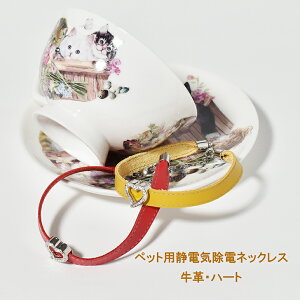 r[X[oXEybgpÓdCdlbNXvxgEn[g