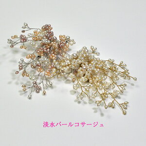 Ƃŏ̒Wp[ݏグEWp[RT[WEubTEƁEEp[eB[ɁI