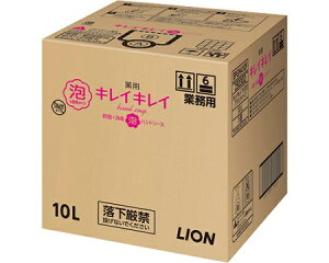 CI@LCLCpAnh\[v / 10L