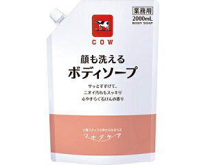 ciOPA@􂦂{fB\[v / 2000mL@S₷炮΂̍