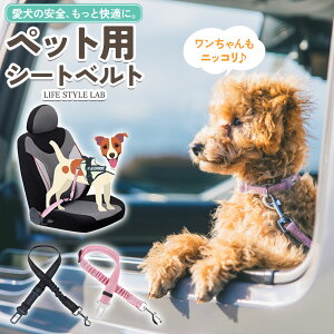 yI[vSALEiIzybgp V[gxg яoh~ oh~ SObY obNt hKtbN hbO [h 㕔  xg  ^ ^ ^ 