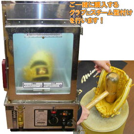 楽天市場 スチーム 型付けの通販