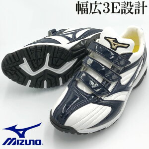 yTCYz~Ym 싅 fUC g[jOV[Y xN^Cv [Jbg L 3E Ch AbvV[Y gV[ 3{xg O[oG[g LSSHS017