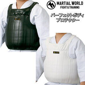 }[V[h  p[tFNg{fBveN^[ BP46